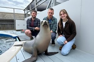 Playzone Gcash Download