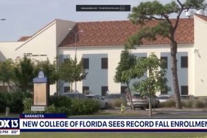 Playzone Gcash Register