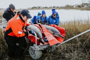 Playzone Gcash Sign Up